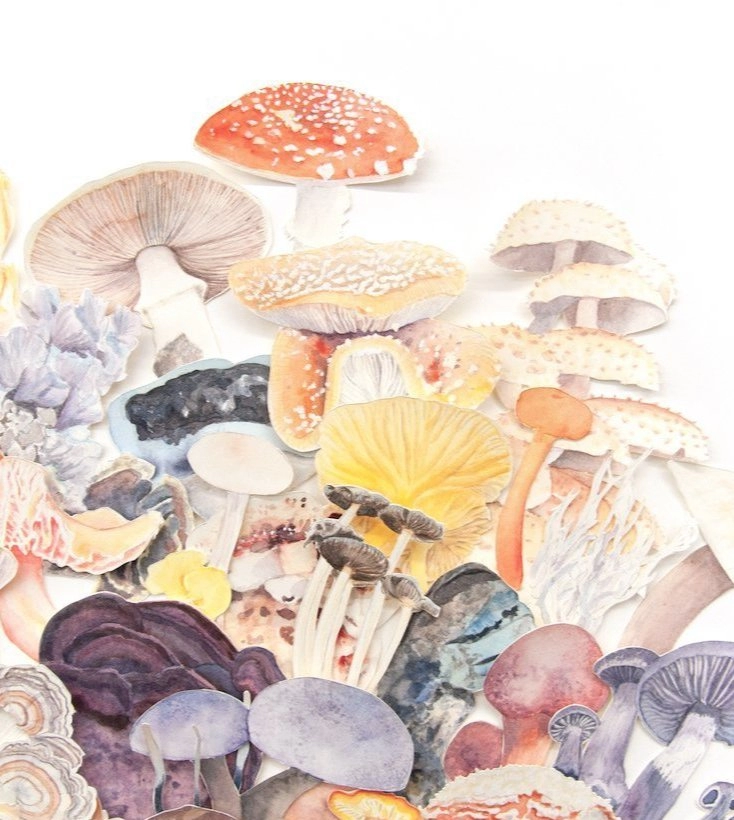 A colorful art of various mushrooms stacked together, showcasing their unique shapes and textures.