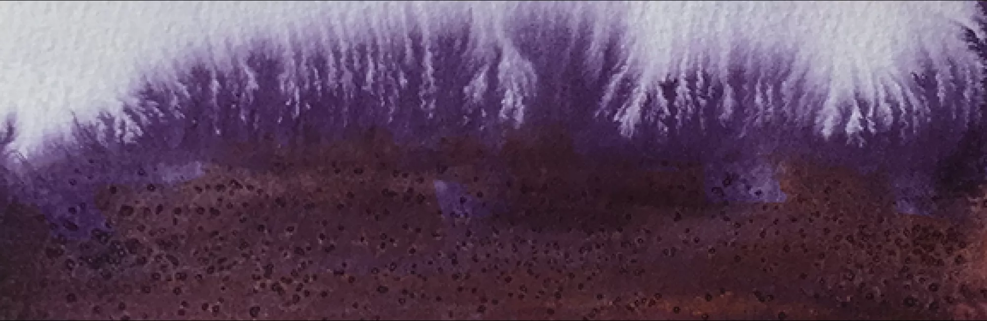 Foundational Techniques for Watercolor