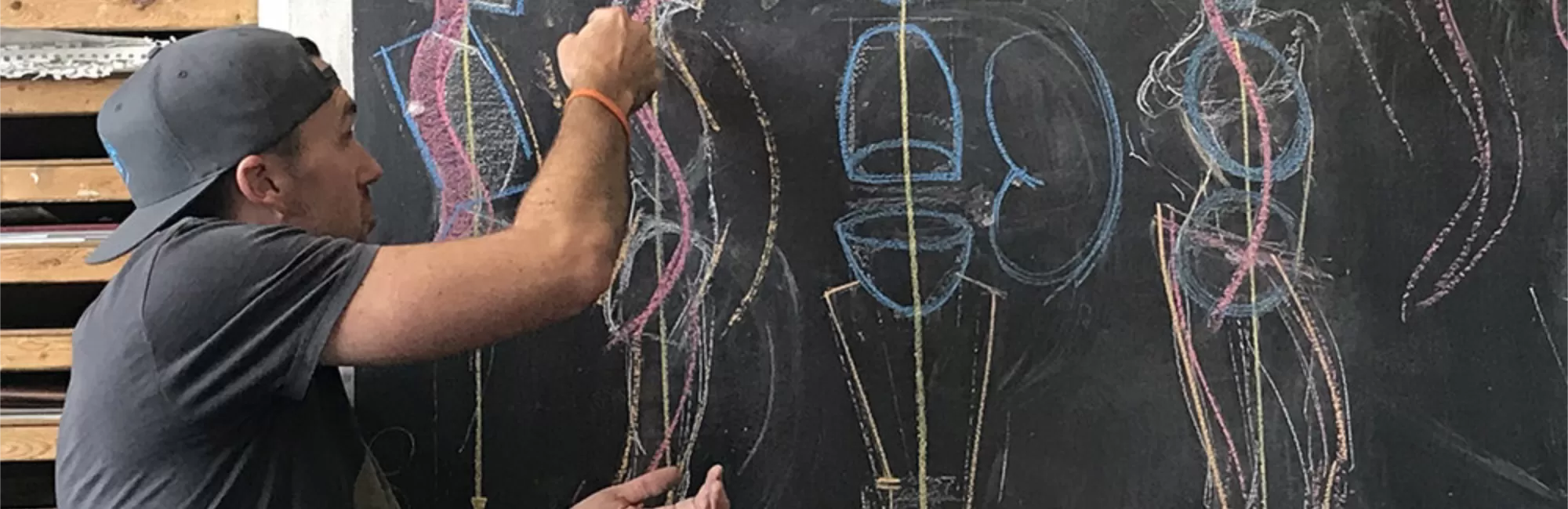 Anatomy Lecture Series