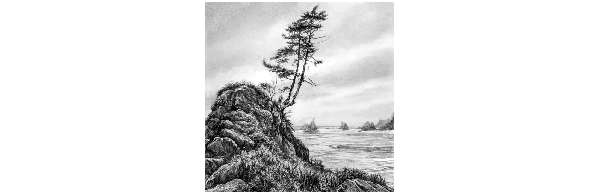 Drawing the Landscape