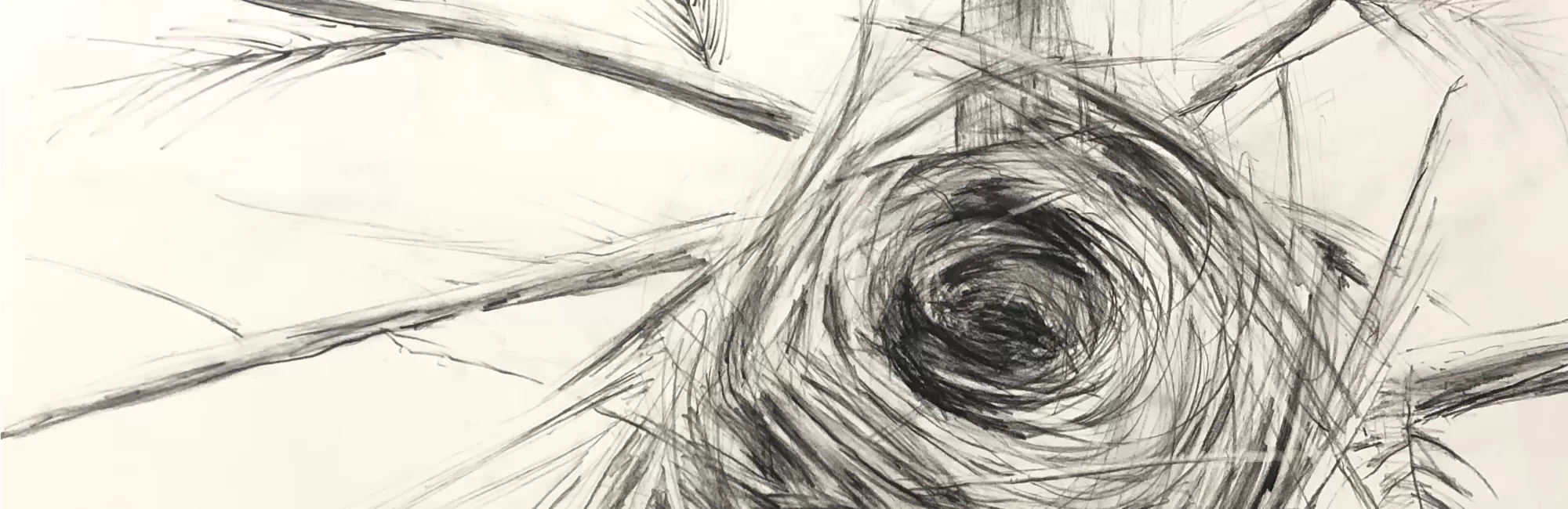 Sketching Animal Tracks and the Landscape