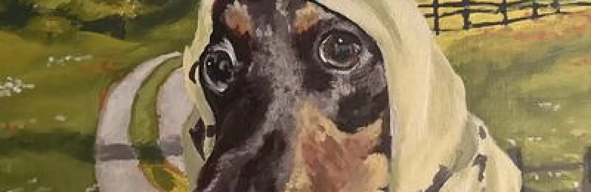 Animal Art + Capoeira