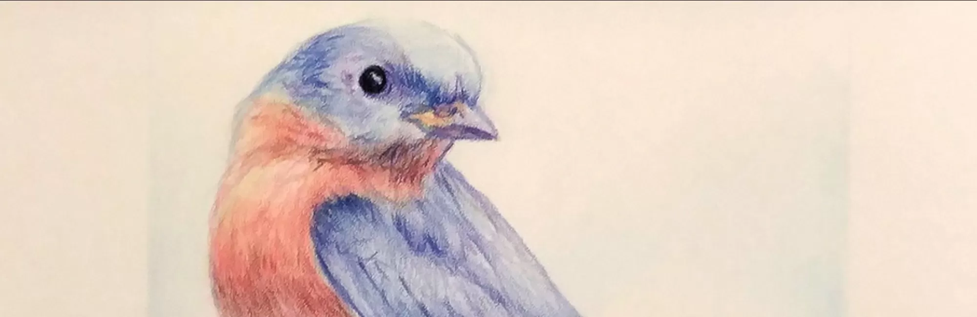 Colored and Watercolor Pencil Techniques