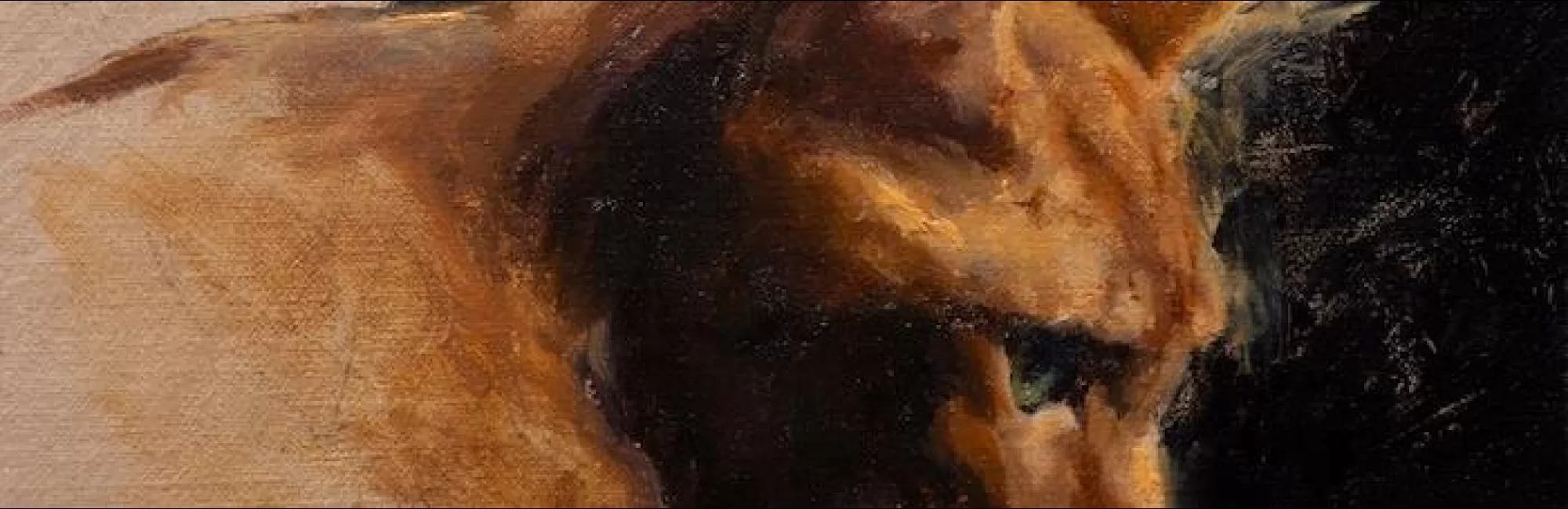 Pet Portraits In Oil