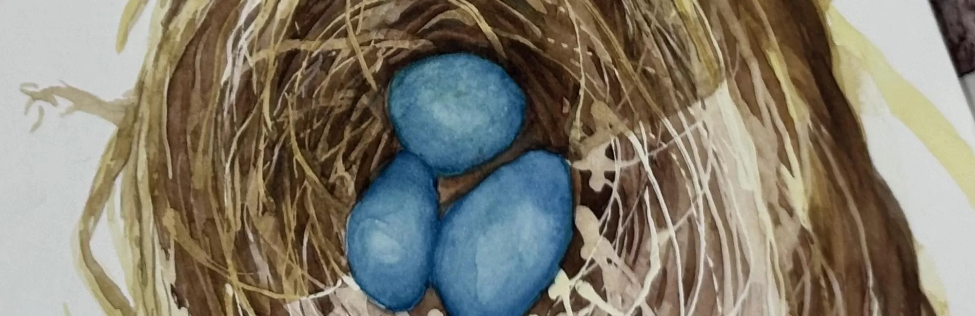 Watercolor Alternative Methods