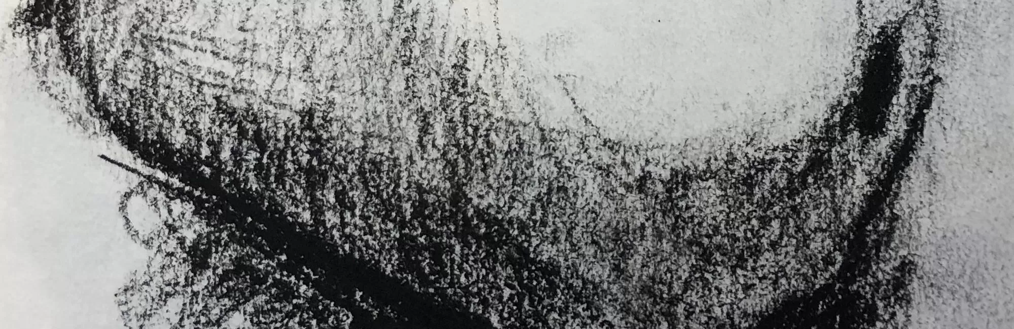 Still Life Drawing with Charcoal