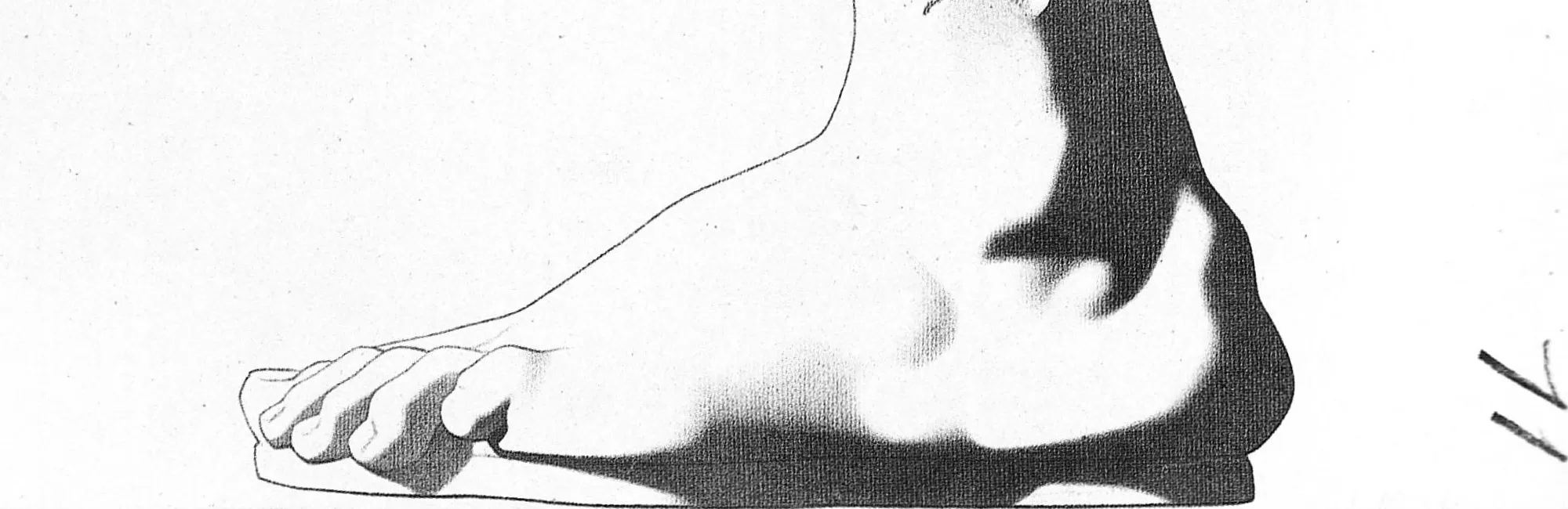 Teen Intensive: Drawing using References