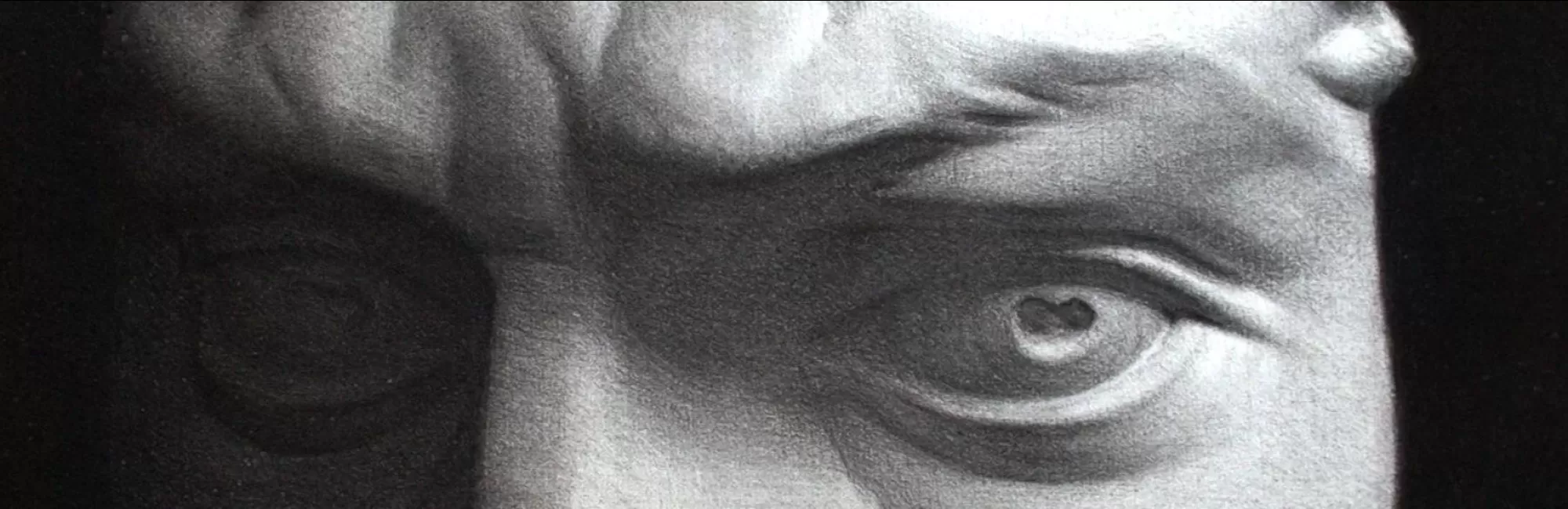 Still Life Drawing