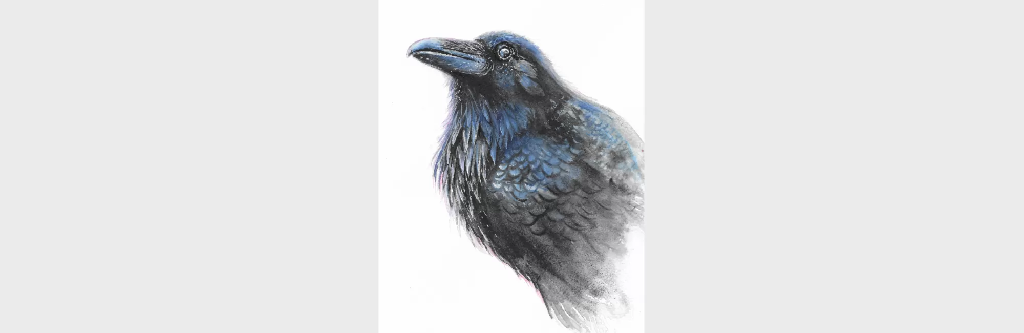 Avian Giants in Watercolor