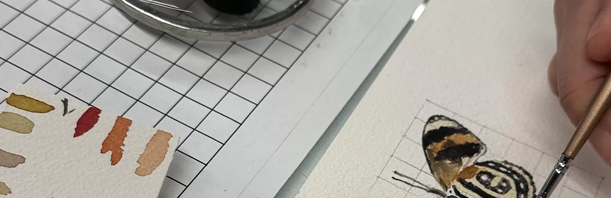 Science Illustration