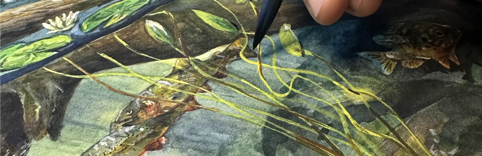 Illustrating Underwater Worlds