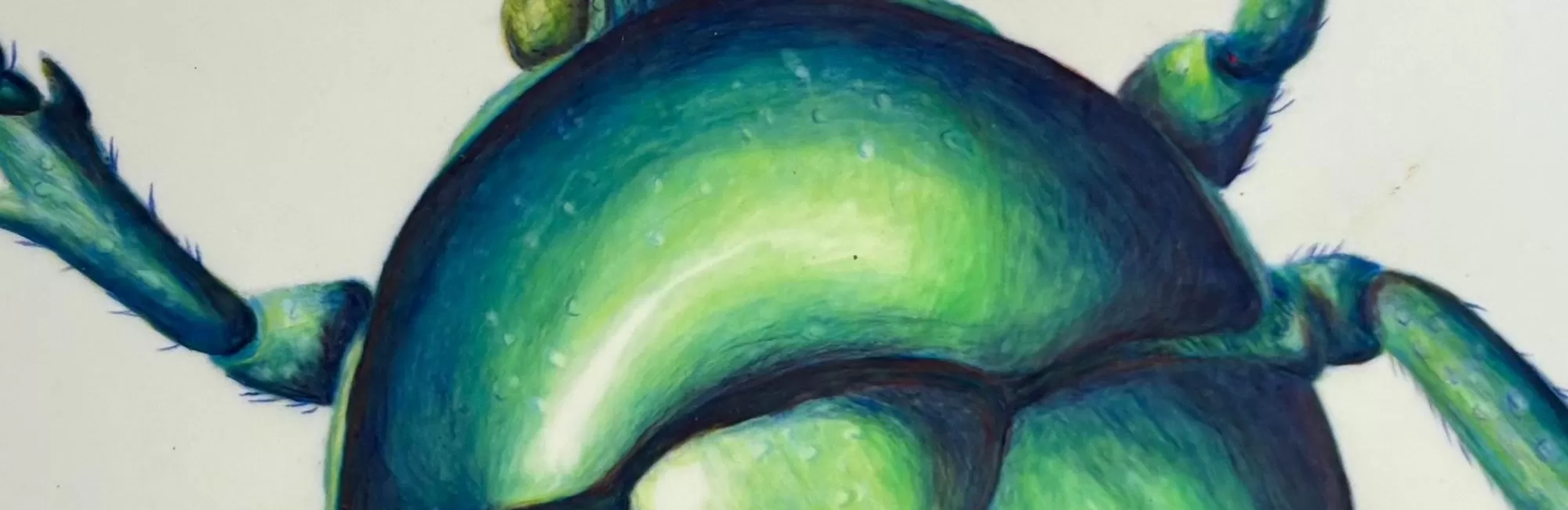 Scientific Illustration & Watercolor