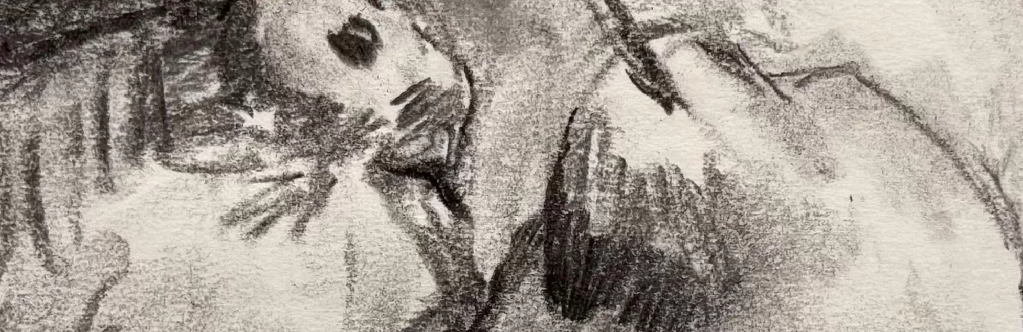 Charcoal Drawing: The Fruit Bowl