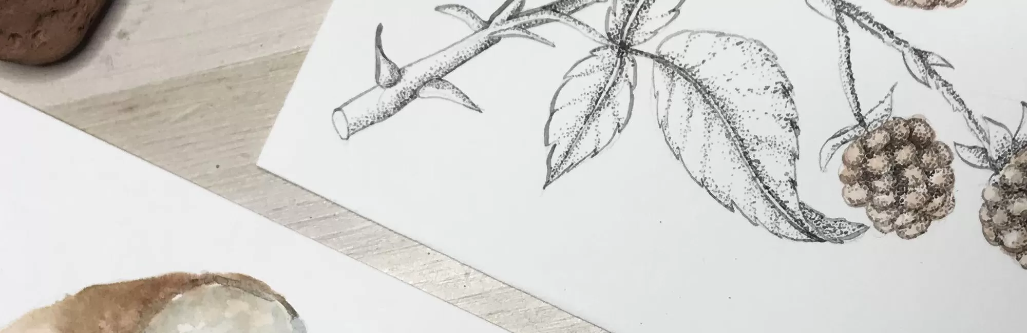 Natural Ink: Let's Create and Use