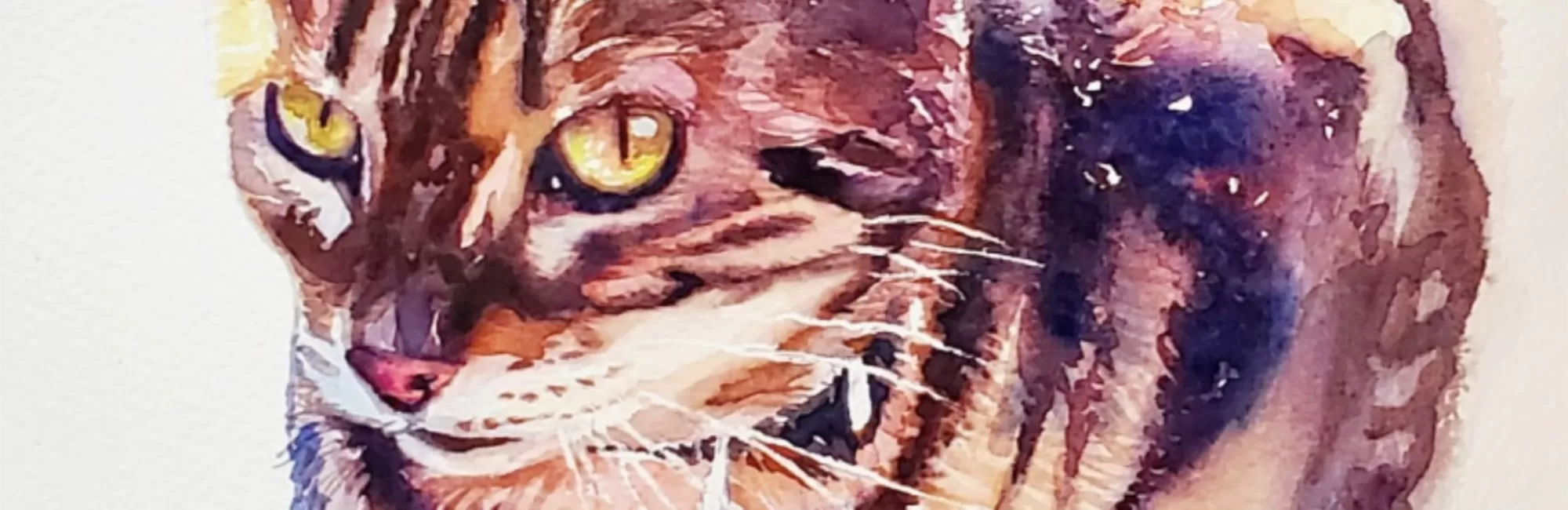 Watercolor Pet Portraits