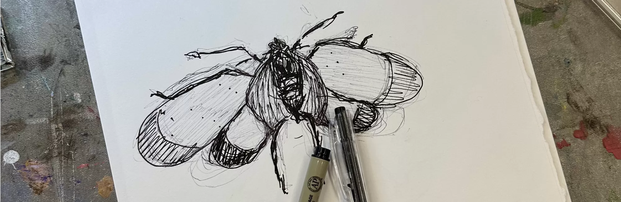 Brush Hour: Insect Drawing