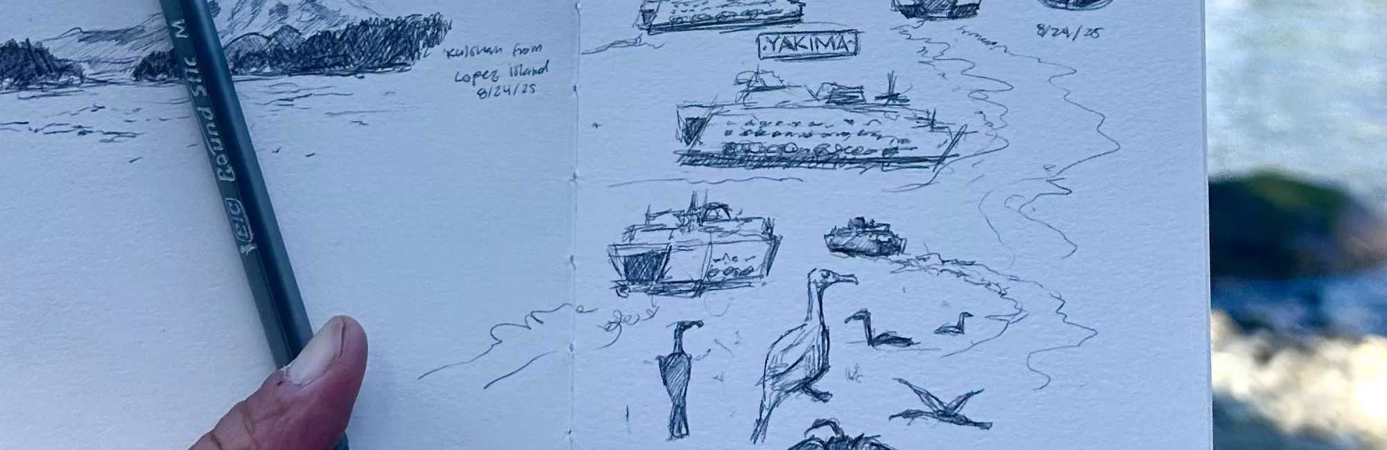 Urban and Nature Sketching