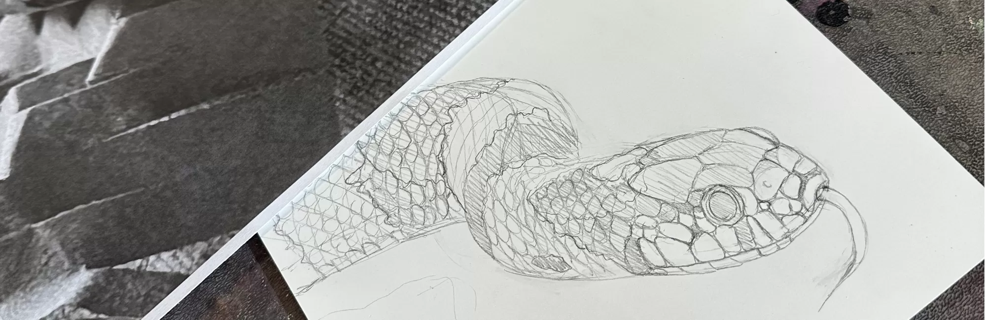 Brush Hour: Reptile Drawing