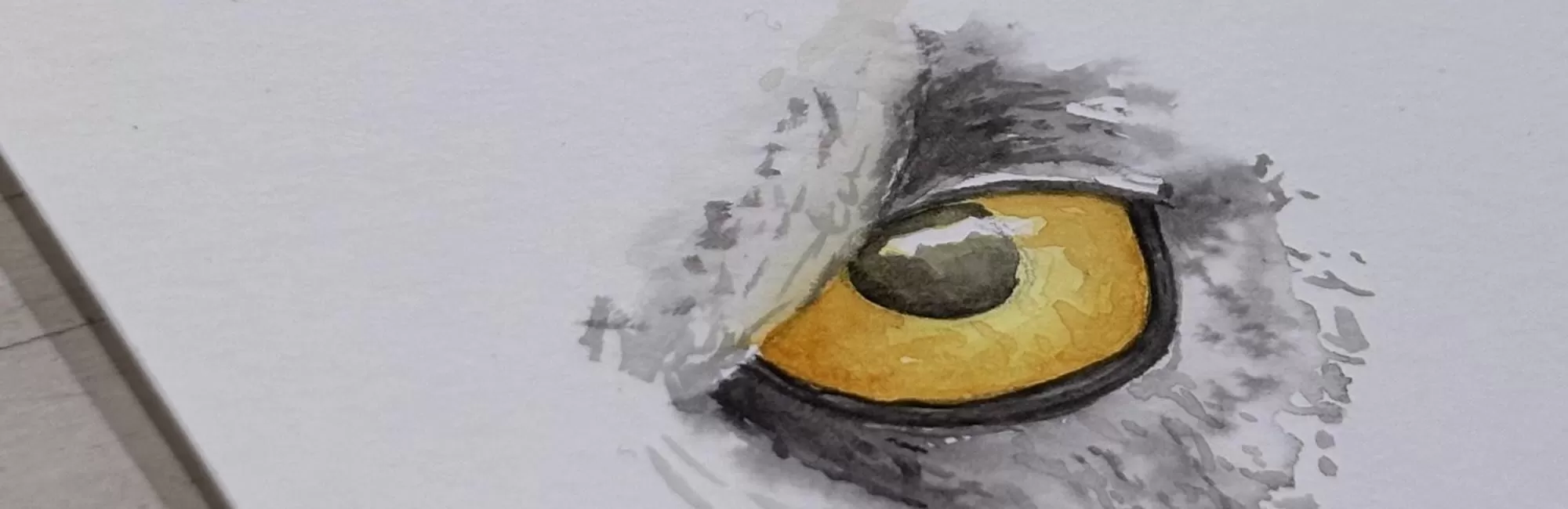 Brush Hour: Watercoloring Realistic Bird Eyes