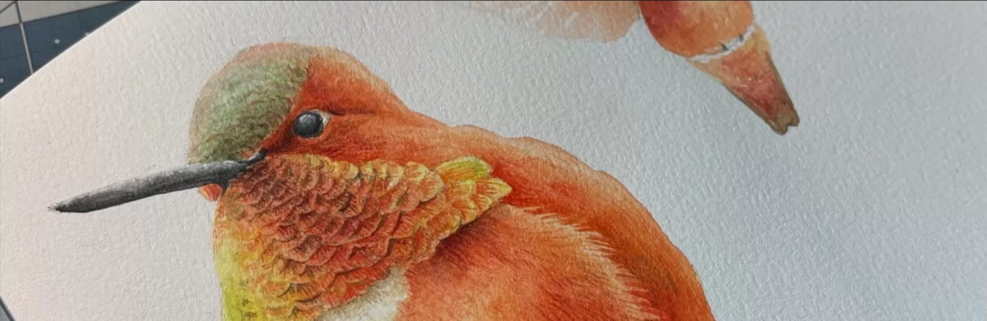 Watercolor Hummingbirds