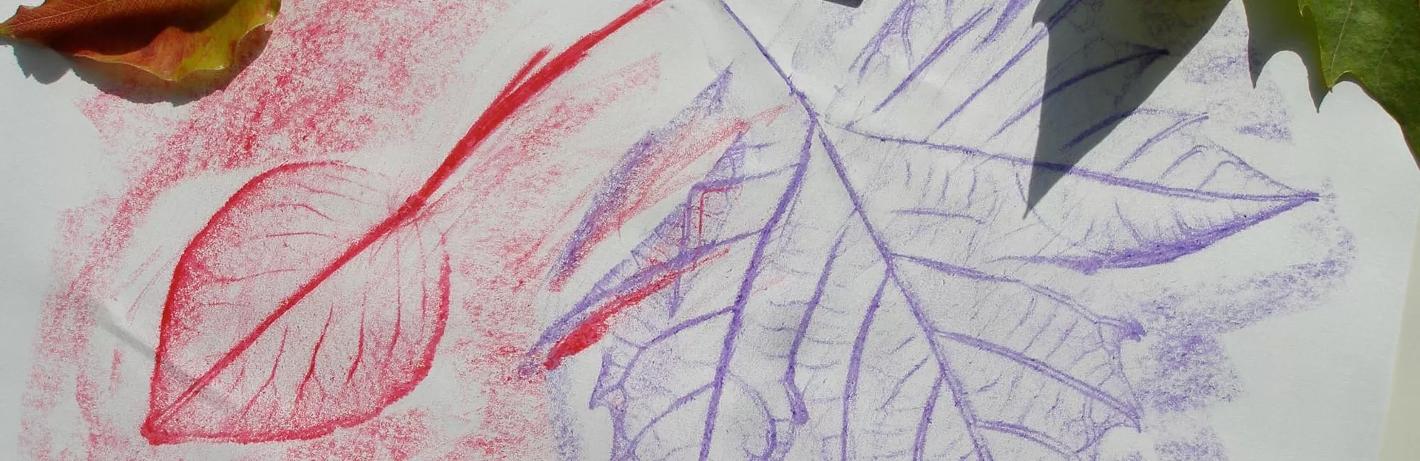 Illustrate the World + Youth Yoga