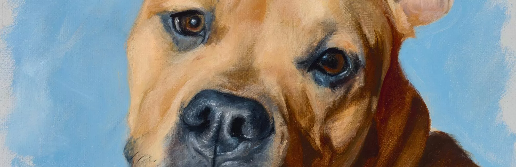 Animals in Oil