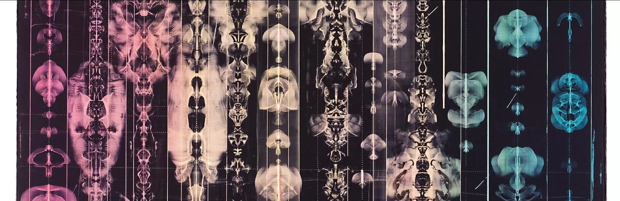 Mentored Studio in Abstraction