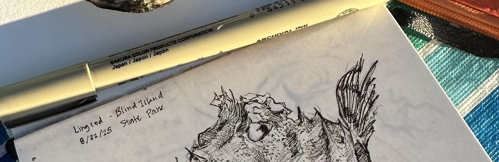 Nature Illustration with Pen & Ink