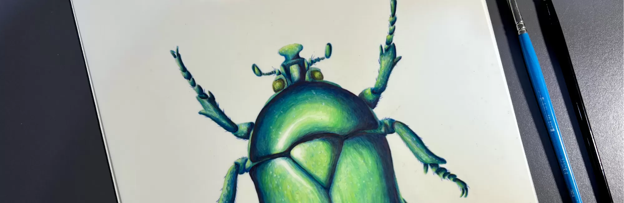 Scientific Illustration & Watercolor