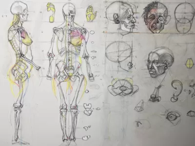 Artistic Anatomy Lecture 1/29