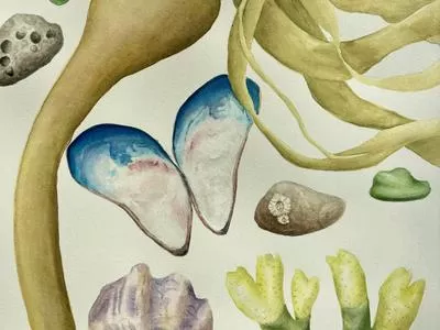 Watercoloring Beach Finds