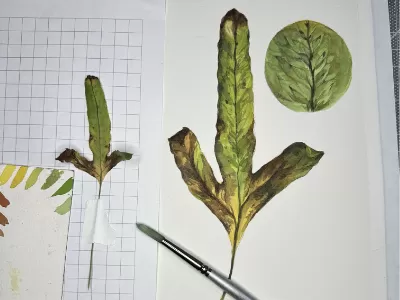 Autumn Botanical Illustration