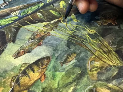 Illustrating Underwater Worlds
