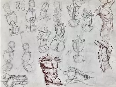 Teen Intensive: Anatomy Drawing