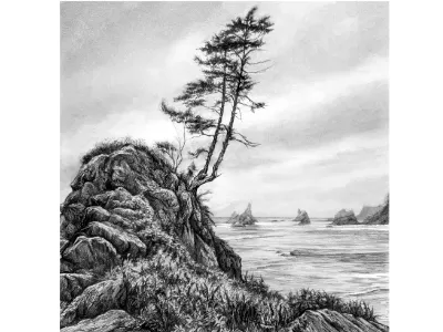 Drawing the Landscape