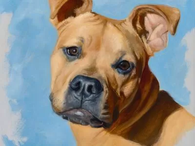Animals in Oil