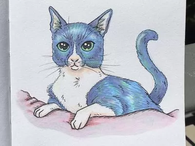 Animal Drawing with Pro Animator!