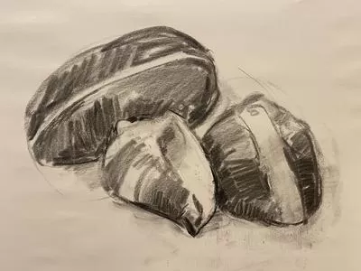 Brush Hour: Charcoal Drawing - Things from the Forest and Beach