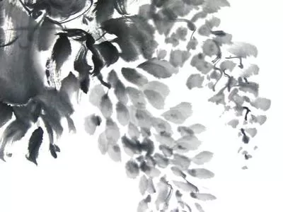 Sumi Painting