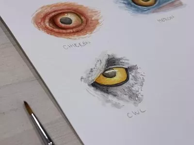 Brush Hour: Watercoloring Realistic Bird Eyes