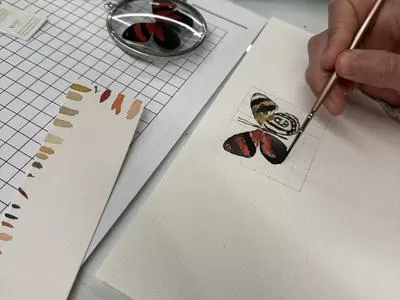 Science Illustration