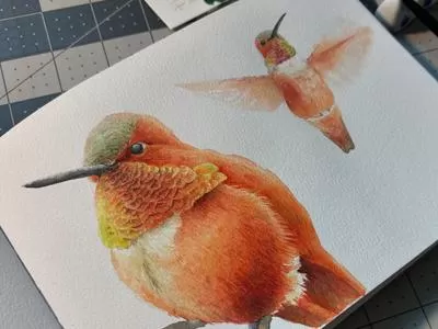 Watercolor Hummingbirds