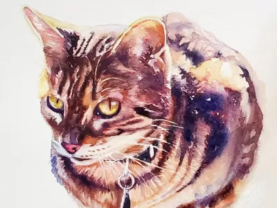 Watercolor Pet Portraits