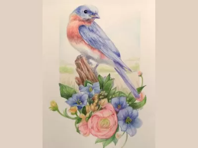 Color Pencil and Watercolor Techniques