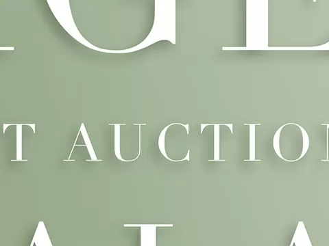 2019 Gala Recap!