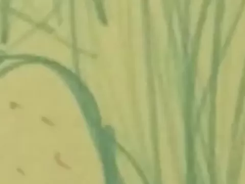 A Corgi's Journey by Calla - Stop Motion Animation with Kamyar Mohsenin (ages 6-12)